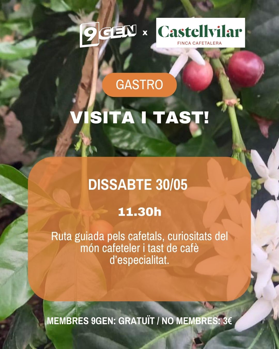 Visita i tast a Castellvilar!