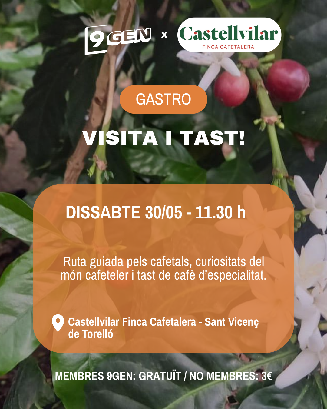 Visita i tast a Castellvilar!